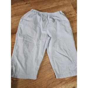 VF Jeanswear Chic Blue Stripes Capri Pants Women's Size 18